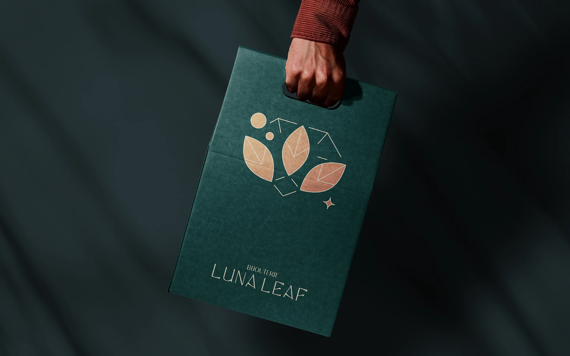 Bijouterie Luna Leaf — Brand identity